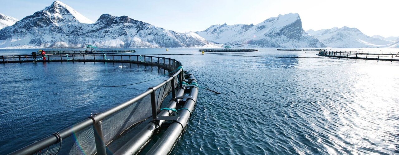 Fish farms surrounded by snowcapped mountains.