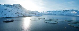 Fish farm in a norwegian fjord with snow covered mountains Fish farm in a norwegian fjord with snow covered mountains