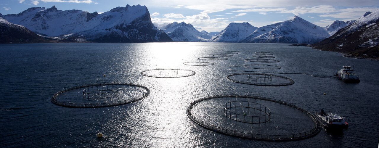 fishing cages in a fjord